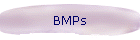 BMPs